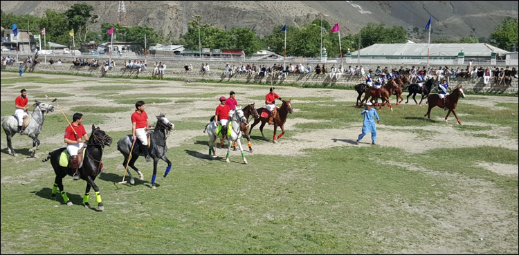 mulki cup