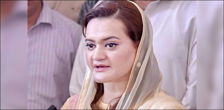 Marriyum Aurangzeb aliens
