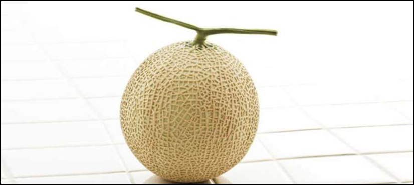 Japanese premium melons