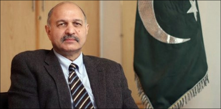 Mushahid Hussain, Afghan Policy