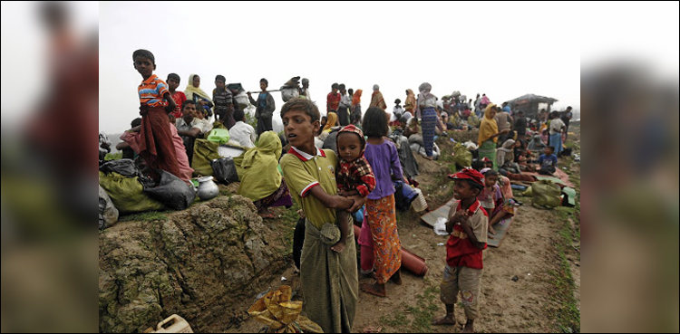 Rohingya Myanmar army chief