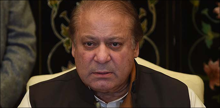 Nawaz Sharif PML-N anti-govt drive