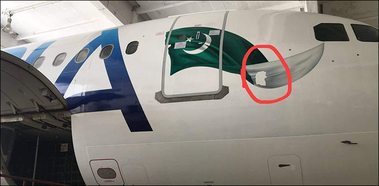PIA airbus color