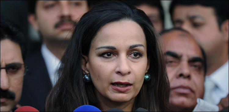 Senator Sherry Rehman, National Security Policy, Senate