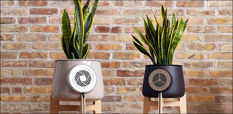 air purifier