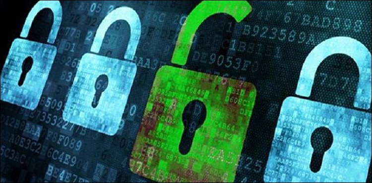 Cyber Security Wing Nacta