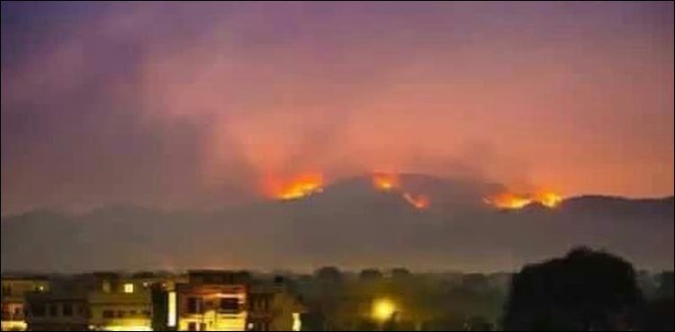 CDA teams firefighting, Margalla bushfire