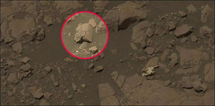Ancient warrior woman mars NASA