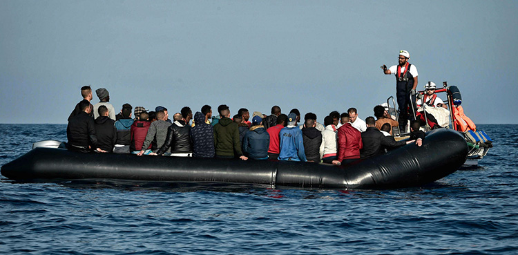 migration