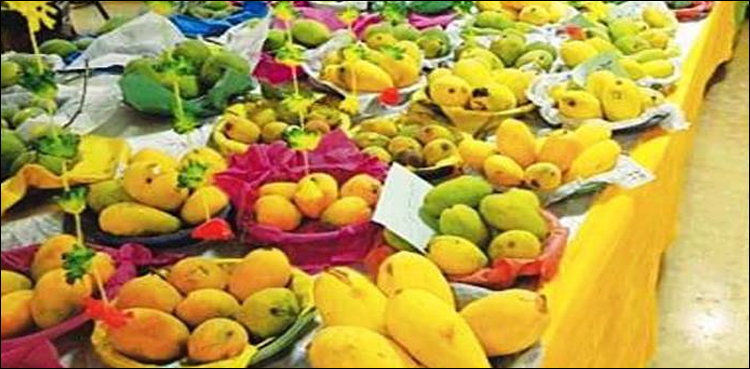 Mango festival
