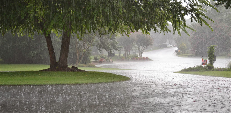 Monsoon currents, enter Sindh, today, Met Office
