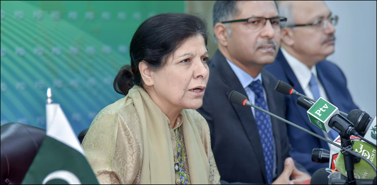 Caretaker govt IMF
