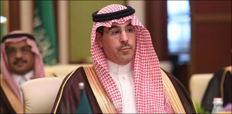 Saudi Arabia minister Pakistan elections