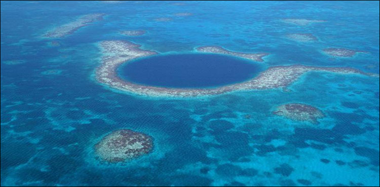 reef