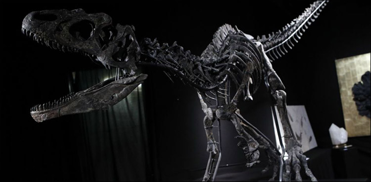 Rare Dinosaur Skeleton Sold Off At Paris Auction For More Than $2 Million