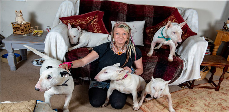 Husband gives wife ultimatum says ‘it’s me or the dogs’ – wife chose the dogs