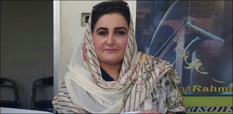 Hameed Shahid Upper Dir polls