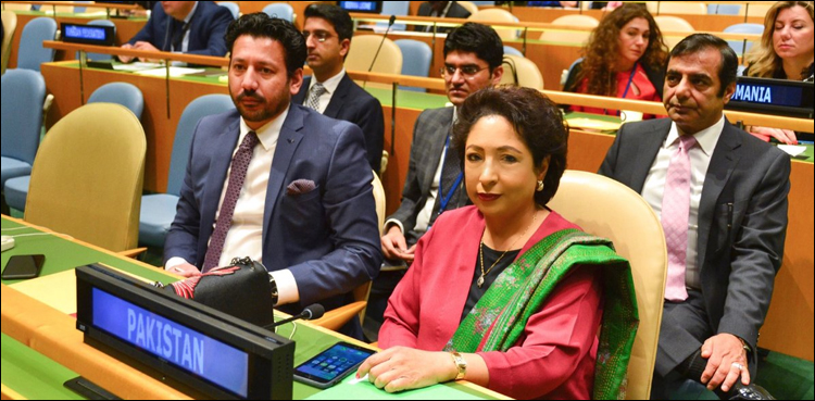 ecosoc