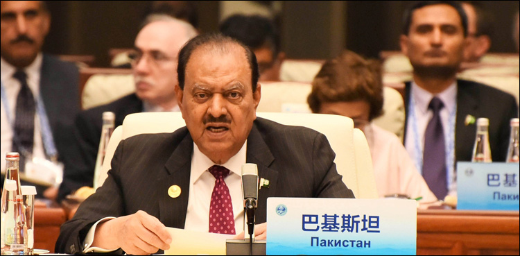 Mamnoon Hussain