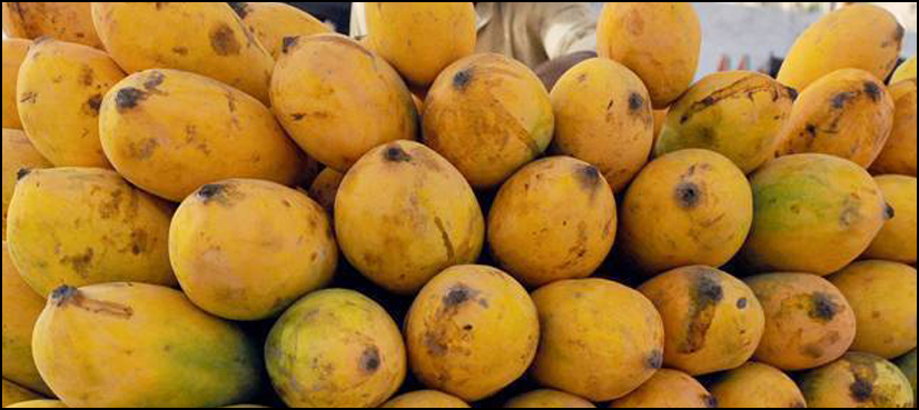 Mando production pakistan