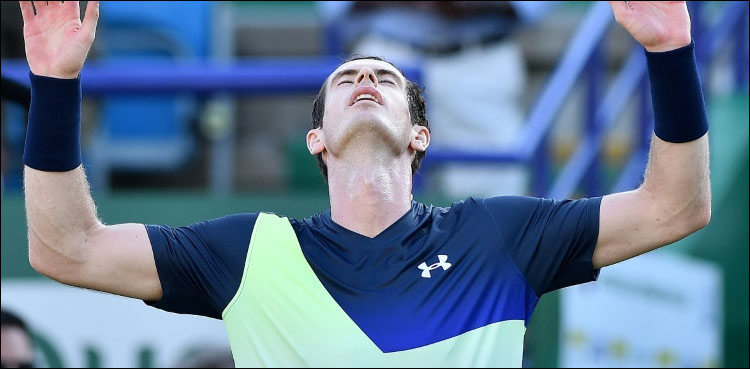 murray