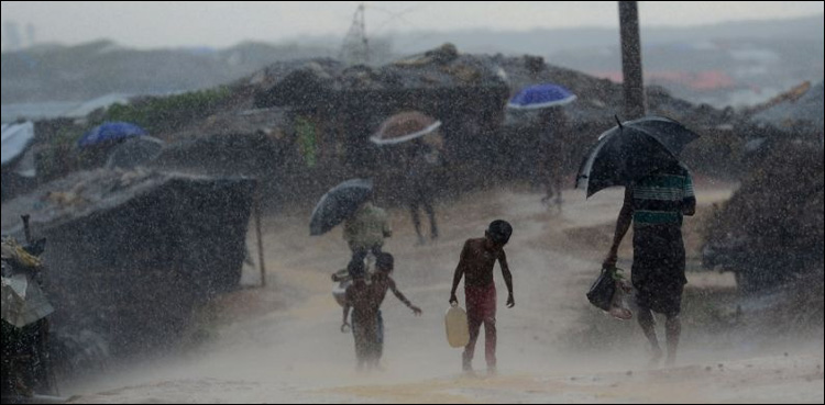 rohingya