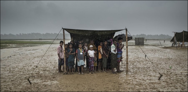 rohingya