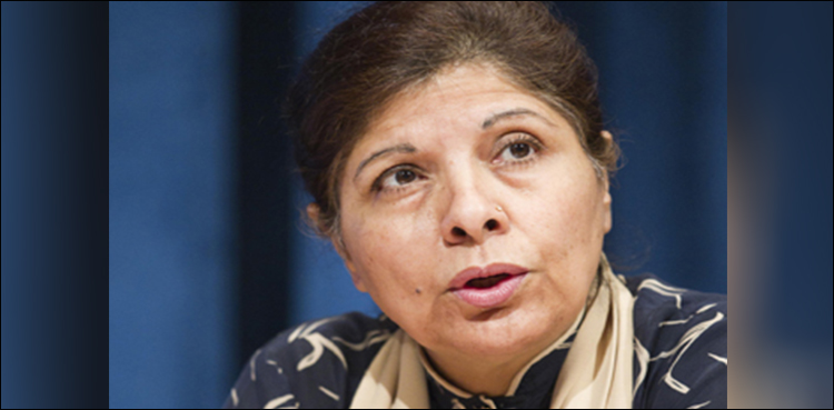 Shamshad Akhtar, privatization mandate,