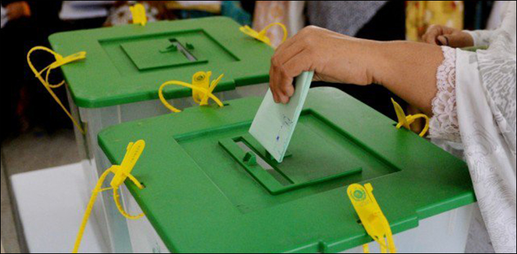 woman MPA, KP, Senate elections, ballot