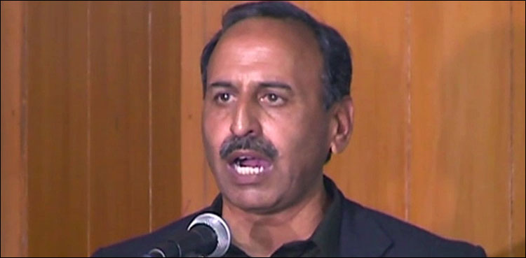 Anjum Aqeel