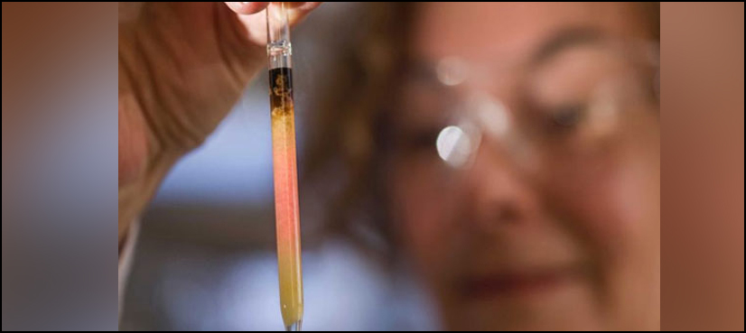biological colours