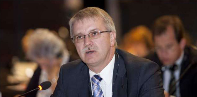 EU chief observer elections 2018