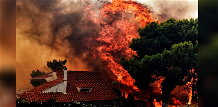 Wildfire kills at least 50 near Athens, families flee to beaches