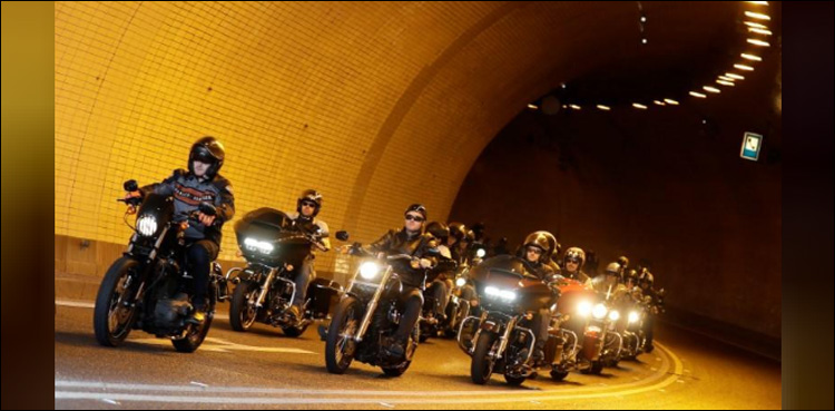 Harley-Davidsons