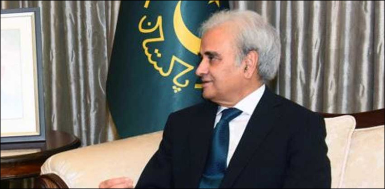 caretaker pm