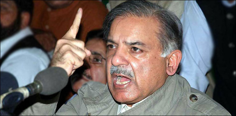 shahbaz sharif, medical board, pims, senate elections, nab