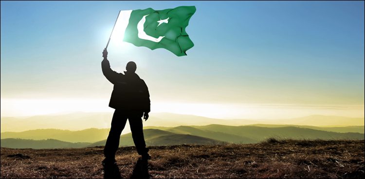 ARY Election anthem