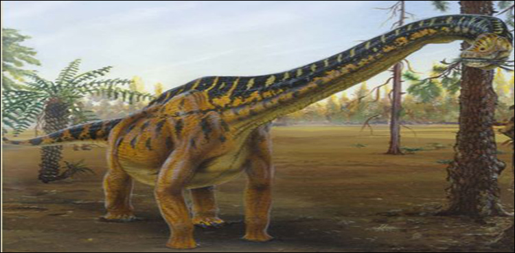 Giant dinosaur discovered in Argentina