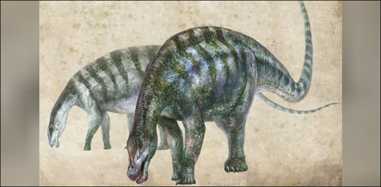 dinosaurs