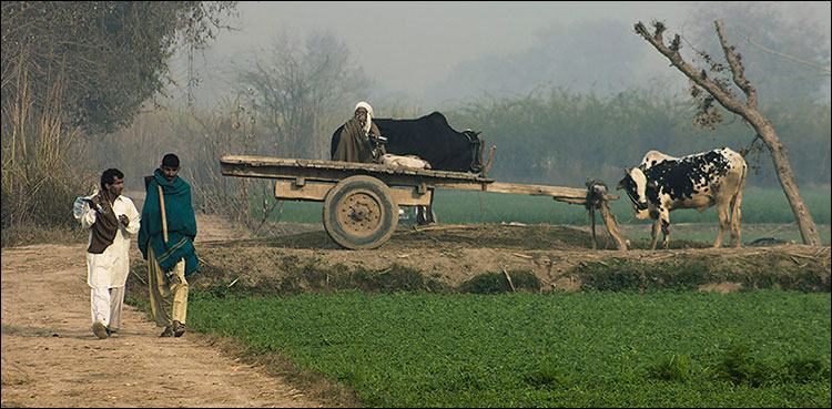 Punjab farmers data computerised