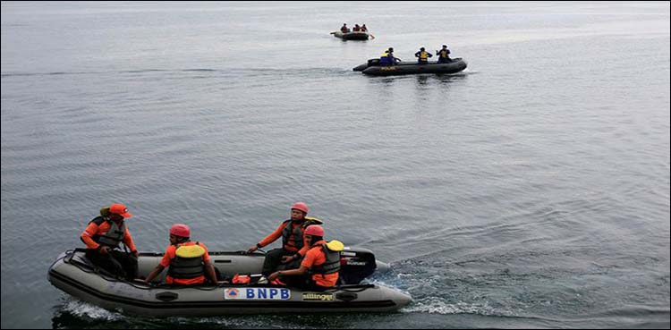 Indonesia says at least 29 dead in ferry sinking, search goes on
