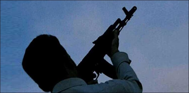 Gun