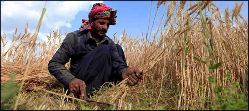pakistan kissan ittehad strike