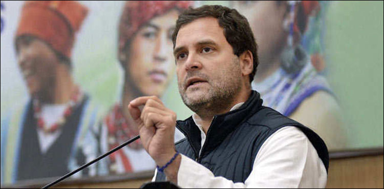 Rahul Gandhi, Indian opposition leader, lawmakers