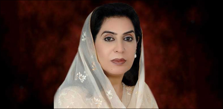 Zulfiqar Mirza Fehmida Mirza, nomination papers, SHC