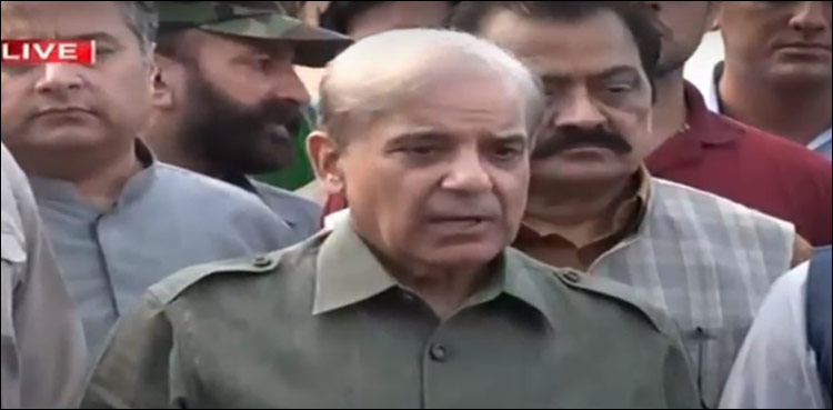 shehbaz