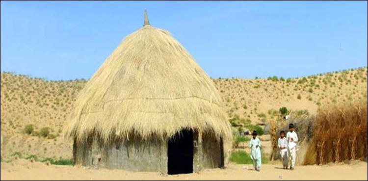 illegal hunting, Thar, wildlife