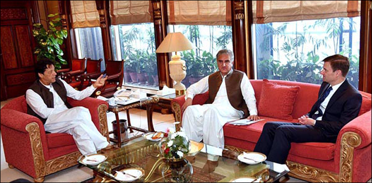 US ambassador David Hale Imran