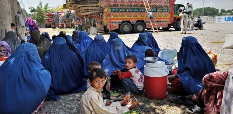 afghan