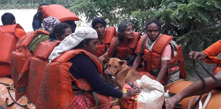 Woman dogs India